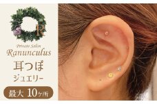 耳つぼ体験 60分 利用券【１名様分】リラクゼーション  健康  美容 マッサージ 癒しプライベートサロン チケット　H178-008