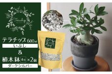 三河焼 植木鉢 ダークシルバー【テラチップいぶし】プランター お手軽 植物栽培セット H188-001