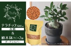 三河焼植木鉢ダークシルバー【テラチップ赤焼】プランター お手軽植物栽培セット H188-002