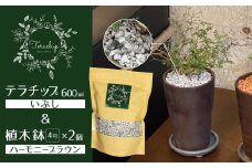 三河焼植木鉢ハーモニーブラウン【テラチップいぶし】プランター お手軽植物栽培セット H188-003