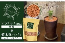 三河焼植木鉢ハーモニーブラウン【テラチップ赤焼】プランター お手軽植物栽培セット H188-004