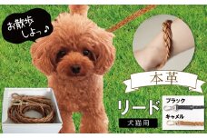 職人手作りの【本革】犬猫用リード 編み込みレザー ペット 愛犬 小型犬 犬 猫 本革 編み込み リード レザーリード ロングリード おしゃれ 人気 プレゼント 可愛い 紐 本革 レザー 日本製  H066-044