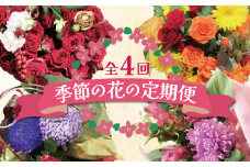 【全４回】季節感じる生花の定期便 (9月～12月に毎月お届け)  花 クリスマス お正月 リース クルクマ バラ 薔薇 ガーベラ マム 菊 H092-066