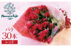 【ラッピング付】生花 レッド バラの花束 30本 日付指定可能 赤 薔薇 ローズ ギフト プレゼント ラッピング インテリア お花 フラワー  H193-009