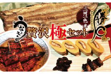 【備長炭で焼く“いい焦がし”】勝〇のぜいたく極セット 珍味うなぎの頭も食べられる 鰻 ウナギ 蒲焼 白焼 肝焼き う巻き かぶと焼き たれ タレ 国産 備長炭 土用 丑の日 冷凍 三河一色産 贅沢 ぜいたく 極み 珍味 H189-005