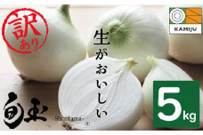 (2026年発送)訳あり 新玉ねぎ 生がおいしい 神重農産のブランド玉ねぎ「旬玉」5kg ブランド玉ねぎ 玉ねぎ 国産 愛知県産 野菜 やさい 農家直送 畑直送 旬 期間限定 たまねぎ 先行予約 旬 特産 高評価 高リピート 人気 H105-153