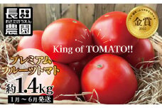 【2026年度予約分】期間限定！プレミアムフルーツトマト 約1.4kg　野菜ソムリエサミット 金賞 受賞　長田農園  産地直送 トマト とまと 野菜 やさい フルーツ サラダ 濃厚 甘い ご褒美 プレゼント 美容 健康 リピート多数 人気 高評価 先行受付 数量限定 碧南市　H004-175