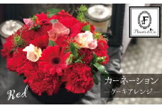【花瓶いらず！】レッドカーネーションでふわもこケーキのようなフラワーアレンジ！ そのまま飾れる プレゼント 贈り物 還暦 記念日 お誕生日 お祝い 母の日 H174-004