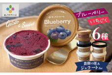 甘熟いちじくとブルーベリーのプレミアムジェラートセット 各1個 碧南市産 甘熟 いちじく 完熟 ブルーベリー 贅沢 スイーツ デザート おやつ カップ 6種 食べ比べ チーズ ミルク ヨーグルト H164-012