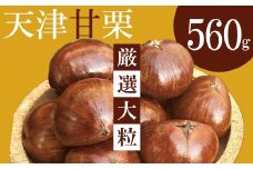 【新栗】（予約受付）この道50年の職人が焼く、やさしい甘みたっぷりの「厳選大粒」天津甘栗560g！ 新栗 焼きたて 栗 くり 栗爪 殻付き お菓子 おつまみ 人気 高リピート 小分け 栗ご飯 栗きんとん 甘露煮 予約 先行 受付中 H045-064