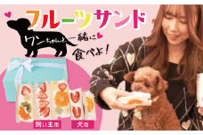 甘さ控えめ！八百屋が厳選したワンちゃん＆飼い主様フルーツサンドセット 5個セット フルーツ フルーツサンド 犬 愛犬 一緒 果物 くだもの H151-012