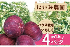 【ハウス栽培】朝もぎ フレッシュな完熟いちじく 碧南市 にいみ農園 フルーツ いちじく トマト農家 H031-006