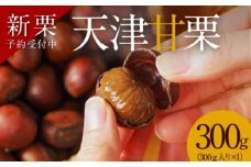 【新栗】先行予約 ！！この道50年の職人が焼く、やさしい甘みたっぷりの「天津甘栗」300g！ 焼きたて 栗 くり 栗爪 殻付き お菓子 おつまみ 人気 高リピート 小分け 栗ご飯 栗きんとん 甘露煮 予約 受付  H045-069