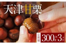 〈新栗〉【旬限定の定期便】( 先行予約 ) この道50年の職人が焼く､やさしい甘みたっぷりの「天津甘栗」300g！ 焼きたて 栗 くり 栗爪 殻付き お菓子 おつまみ 人気 高リピート 小分け 栗ご飯 栗きんとん 甘露煮 予約 受付 H045-070