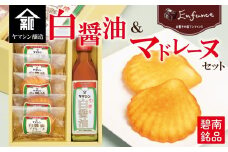 碧南銘産セット 伝統の木桶仕込みヤマシン白醤油と絶品白醤油マドレーヌの詰め合わせ 手土産 調味料 洋菓子 スイーツ 白醤油  碧南  セット コラボ H010-014