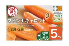 ＜フジテレビ『どっちのふるさと？』で紹介されました！＞訳あり 隔月2回定期便 にんじん 12月・2月お届け マドンナキャロット にんじん 人参 ニンジン 野菜 やさい 国産 碧南市 健康 食品ロス削減 甘い 先行予約 旬 特産 高評価 高リピート 人気 隔月 H105-170
