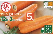 ＜フジテレビ『どっちのふるさと？』で紹介されました！＞訳あり 隔月2回定期便 にんじん 12月・2月お届け マドンナキャロット にんじん 人参 ニンジン 野菜 やさい 国産 碧南市 健康 食品ロス削減 甘い 先行予約 旬 特産 高評価 高リピート 人気 隔月 H105-170