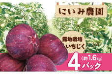 【露地栽培】朝もぎ フレッシュな完熟いちじく 碧南市 にいみ農園 フルーツ いちじく トマト農家  H031-007