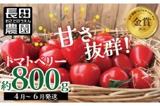 【2026年度予約分】【お試し】幻のミニトマト🍅トマトベリー約800g 長田農園 野菜ソムリエサミット 金賞 受賞  産地直送 トマト とまと 野菜 やさい フルーツ サラダ 濃厚 甘い ご褒美 プレゼント 美容 健康 リピート多数 人気 高評価 先行受付 数量限定 碧南市 H004-114