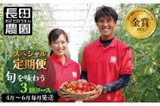 【4月～6月の定期便】トマト好き全員集合 トマト・トマト・トマト3か月お届けパック 野菜ソムリエサミット 金賞 受賞 長田農園 産地直送 トマト とまと 野菜 やさい フルーツ サラダ 濃厚 甘い ご褒美 プレゼント 美容 健康 リピート多数 人気 高評価 数量限定 碧南市　H004-173