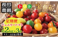 【4月～6月の定期便】たっぷり約2㎏×3回！　フルーツジュエリーミニトマトの定期便 長田農園  産地直送 カラフル トマト とまと 野菜 やさい フルーツ サラダ 濃厚 甘い ご褒美 プレゼント 美容 健康 リピート多数 人気 高評価 数量限定 碧南市 H004-132
