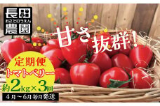 【4月～6月の定期便】たっぷり約2㎏×3回！ 人気No.1トマトベリーの定期便 野菜ソムリエサミット 金賞 受賞 長田農園  産地直送 トマト とまと 野菜 やさい フルーツ サラダ 濃厚 甘い ご褒美 プレゼント 美容 健康 リピート多数 人気 高評価 数量限定 碧南市 H004-131