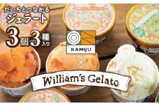 （お試し）【3種のフレーバーを食べ比べ!!】だいちとつながるジェラート3個セット 映えるデザインが可愛いと話題に!!  マドンナキャロット 地元野菜 甘い アイス スイーツ デザート 洋菓子 可愛い 詰め合わせ キャロットミルク フルーツサラダ ピーナッツミルク 自慢 冷たい にんじん 人参 落花生 ピーナッツ 農家 神重農産 H105-172