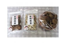 No.062 おがっしい【刈谷市小垣江産】生椎茸・乾燥椎茸セット　計約560g ／ しいたけ シイタケ 乾物 肉厚 愛知県 特産品