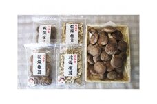 No.063 おがっしい【刈谷市小垣江産】生椎茸・乾燥椎茸セット　計約1320g ／ しいたけ シイタケ 乾物 肉厚 愛知県 特産品