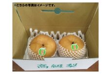 No.067 のの山農園「あたご梨」 ／ なし ナシ 赤梨 大玉 愛知県 特産品