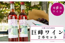 No.070 小林農園　巨峰ワイン2本セット ／ お酒 ロゼワイン 葡萄 ブドウ 愛知県 特産品