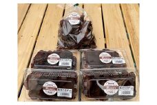 No.073 アラゲキクラゲ約1kg ／ 生きくらげ キノコ ヘルシー 安心 安全 国産 愛知県