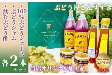 No.090 【ぶどう屋さんすずき】フィトケミカルたっぷりギフトセット（大） ／ 葡萄 ブドウ ジュース お酢 ジャム 愛知県