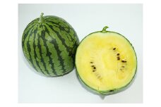 No.139 黄色い小玉スイカ約5kg（2個入） ／ 果物 すいか 愛知県 特産品