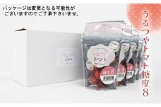 No.376 うるつやトマト糖度8 ／ とまと リコピン GABA 愛知県