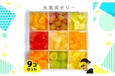 No.356 生果実ゼリー9コ詰め合わせセット（無添加フルーツゼリー）by 特撰果実 ／ 旬の果実 デザート スイーツ おやつ 愛知県