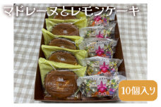 No.404 マドレーヌとレモンケーキ（10個入り） ／ おやつ 焼菓子 洋菓子 愛知県