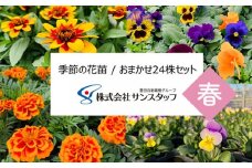 No.409 【ファーム直送】季節の花苗 おまかせ24株セット（春） ／ あいづまフラワーファーム ガーデニング 寄せ植え 花壇 愛知県 特産品