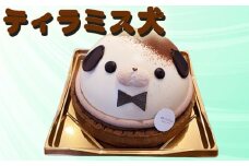 No.439 ティラミス犬 ／ 珈琲 エスプレッソ マスカルポーネ タルト 送料無料 愛知県