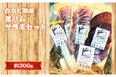No.442 白カビ熟成　生ハム・サラミセット　約300g ／ 肉 豚肉 生ハム サラミ ソーセージ 白かび 凝縮 旨み 愛知県