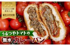 No.490 うるつやトマトの無水カレーパン9個入 ／ とまと リコピン濃度 野菜 うま味 い志かわ 共同開発 愛知県