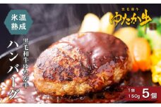氷温熟成　黒毛和牛ゆたか牛ハンバーグセット