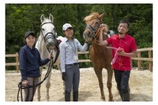 乗馬レッスンチケット！初心者からできる　乗馬共通利用券　【乗馬共通チケット】 30枚