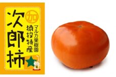 ＜先行受付＞次郎柿　約4kg【2025年11月上旬以降順次発送】