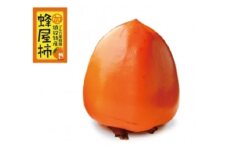 ＜先行受付＞蜂屋柿　約6kg 【2025年10月下旬以降順次発送】