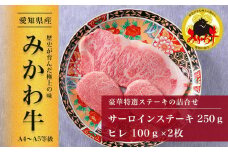 【みかわ牛】豪華特選ステーキ詰合せ