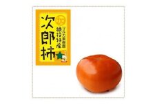 ＜先行受付＞次郎柿　約3.7kg【2025年11月上旬以降順次発送】