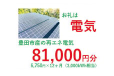 おいでんのでんき3,000kWh相当（81,000円分　毎月6,750円分×12ヶ月）【定期便：全12回】