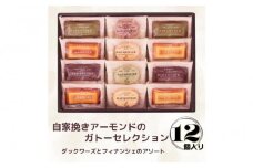自家挽きアーモンドのガトーセレクション（12個）