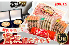 「豚肉を楽しむ」 安城ハム ソーセージ等 5種贅沢詰め合わせ!!DNセット　デンパークハム工房内製造【1006913】